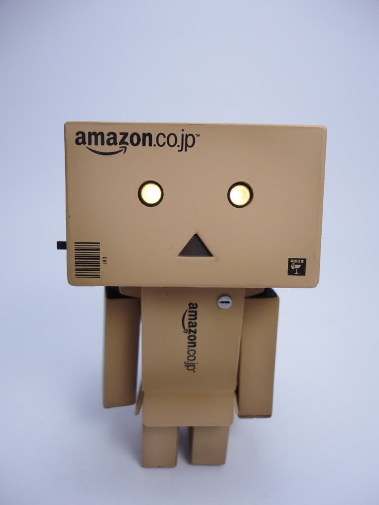 amazon danboard mini